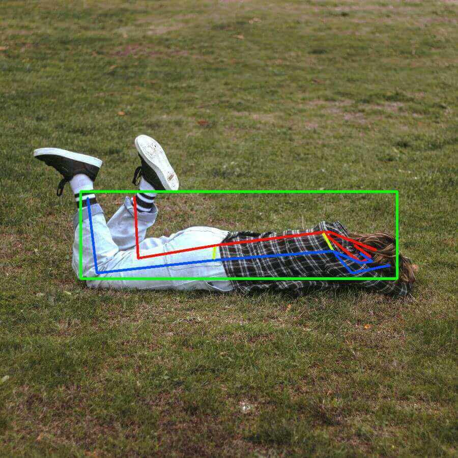 A person lying on the grass detected by Nara