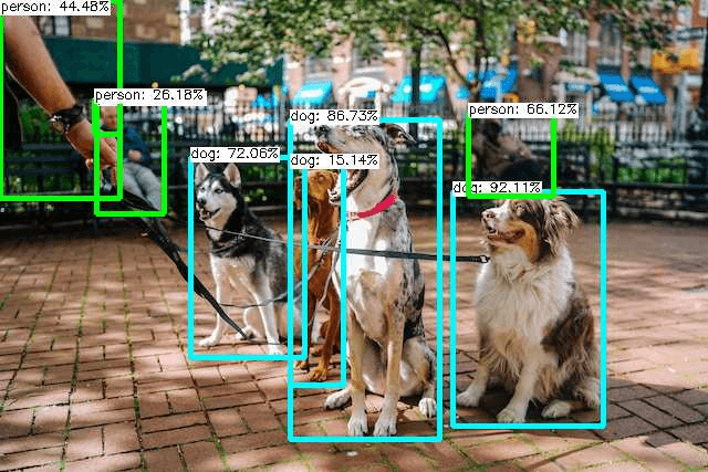 Dogs and people detected for pet counting