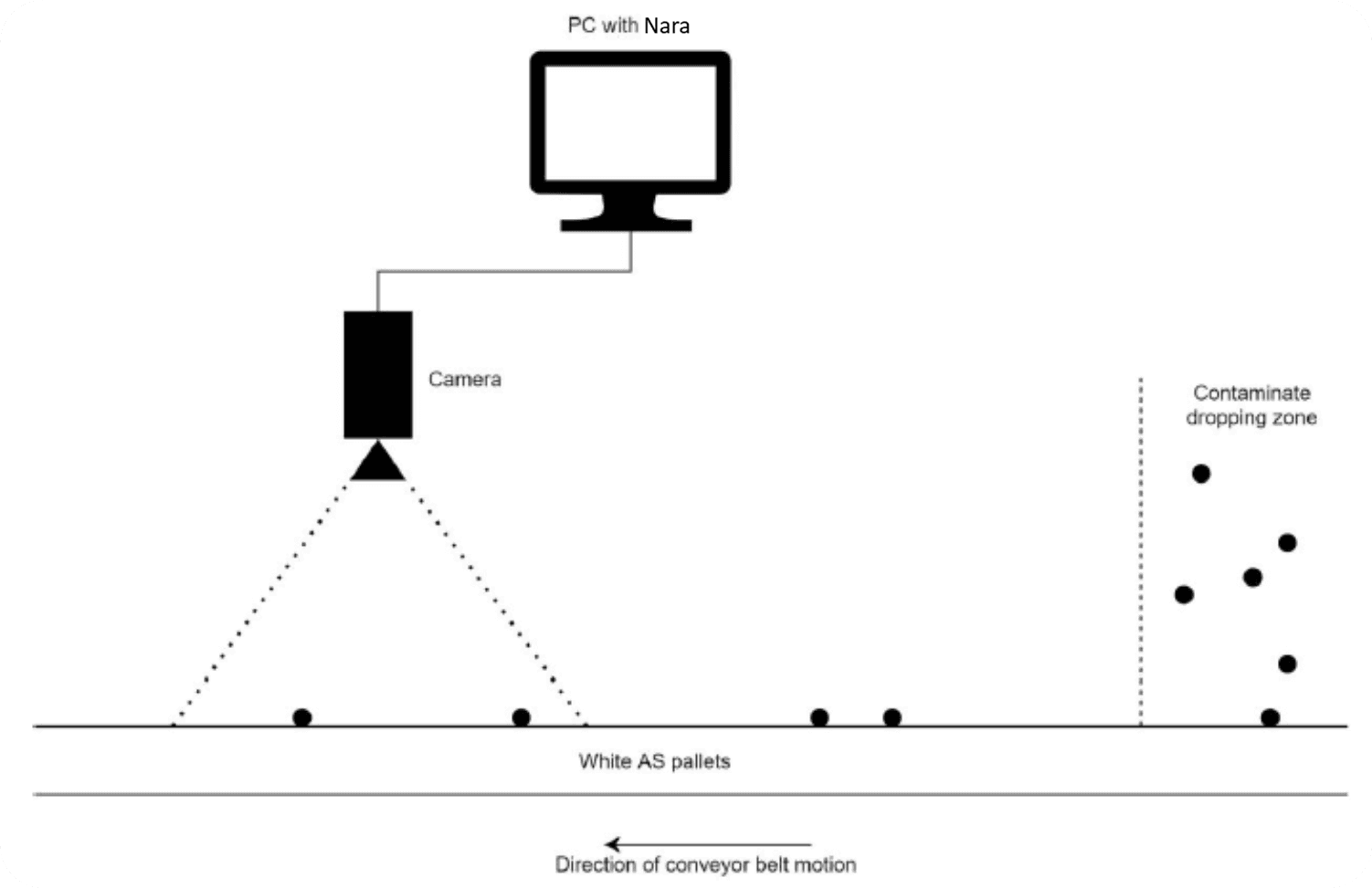 Diagram of a camera over the conveyor belt with Nara on a local PC