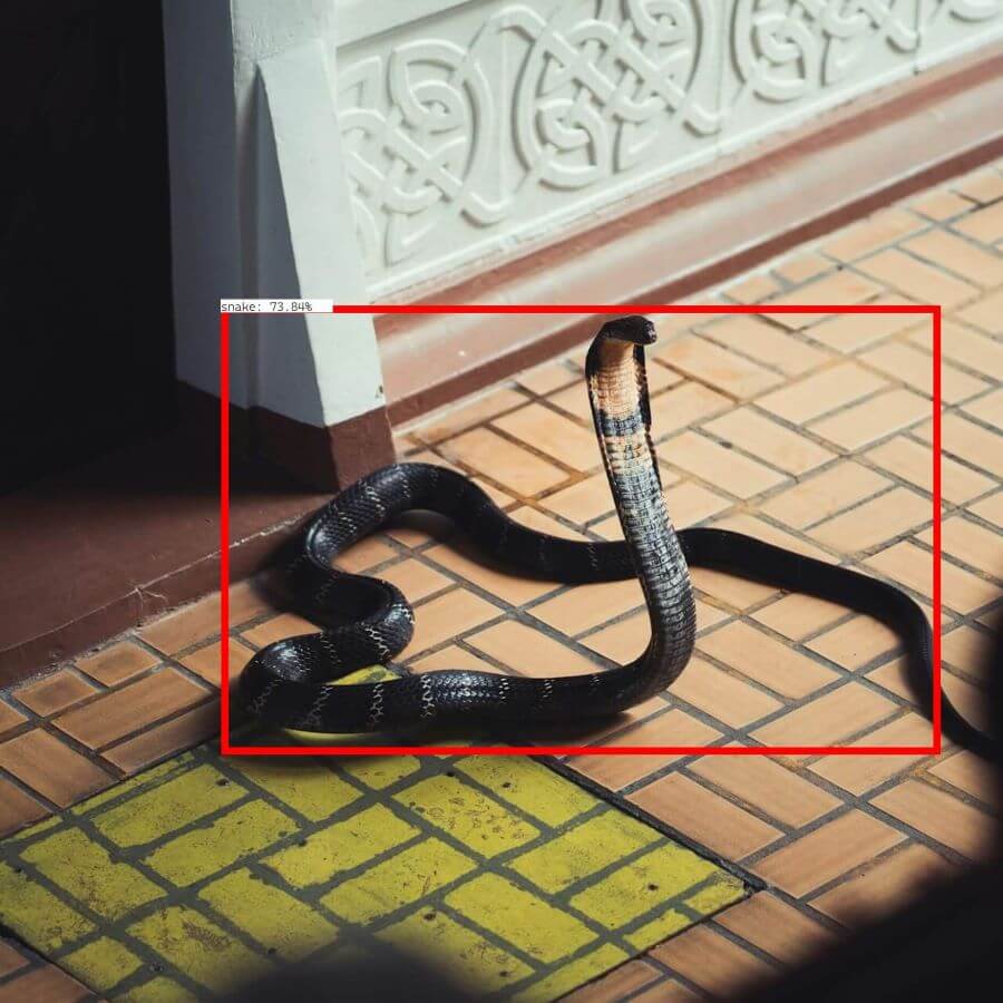 A black cobra with its hood spread and mouth open, standing on a tiled floor.