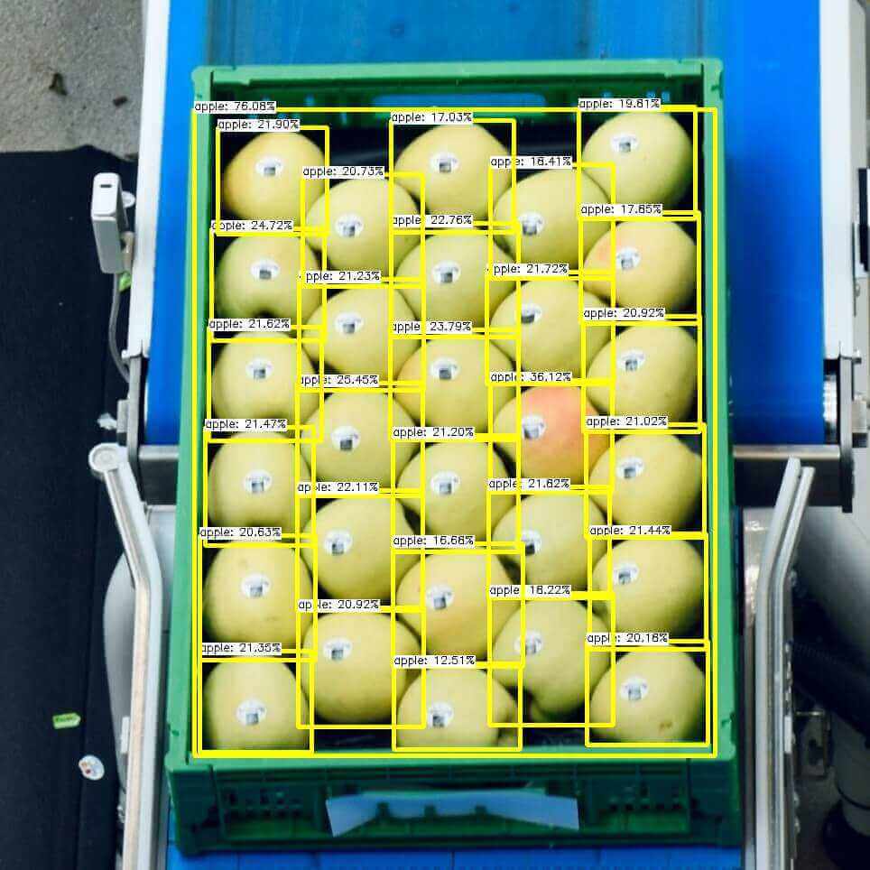 A crate of apples on a conveyor system.