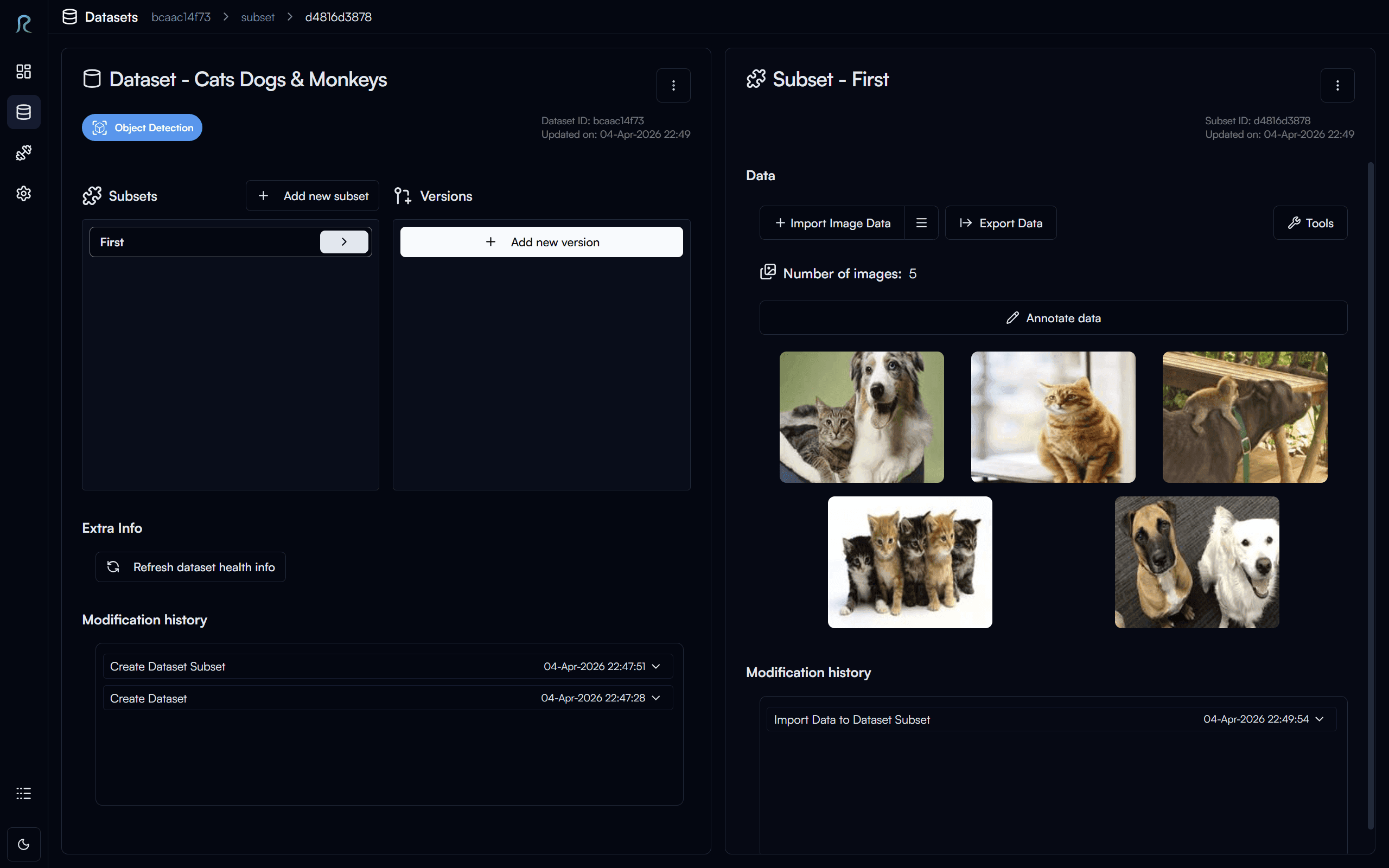 Datasets and versions in Reva