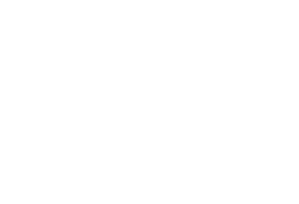 PepsiCo